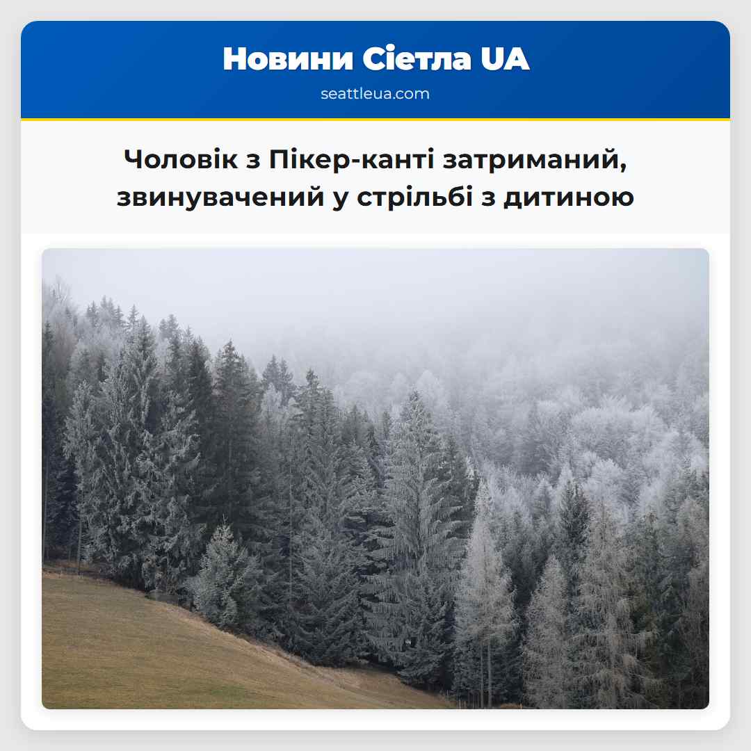 Чоловік з Пікер-канті затриманий звинувачений у стрільбі з дитиною