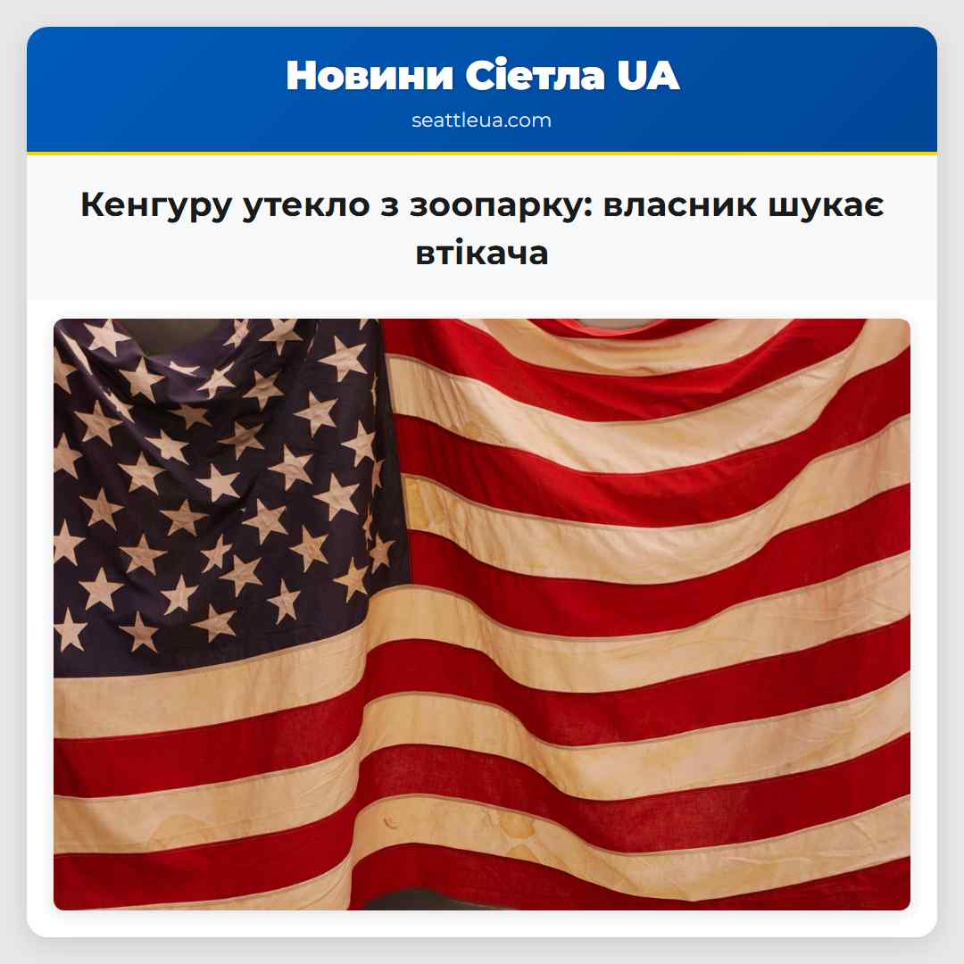 Кенгуру все ще утекло власник зоопарку шукає втікачку