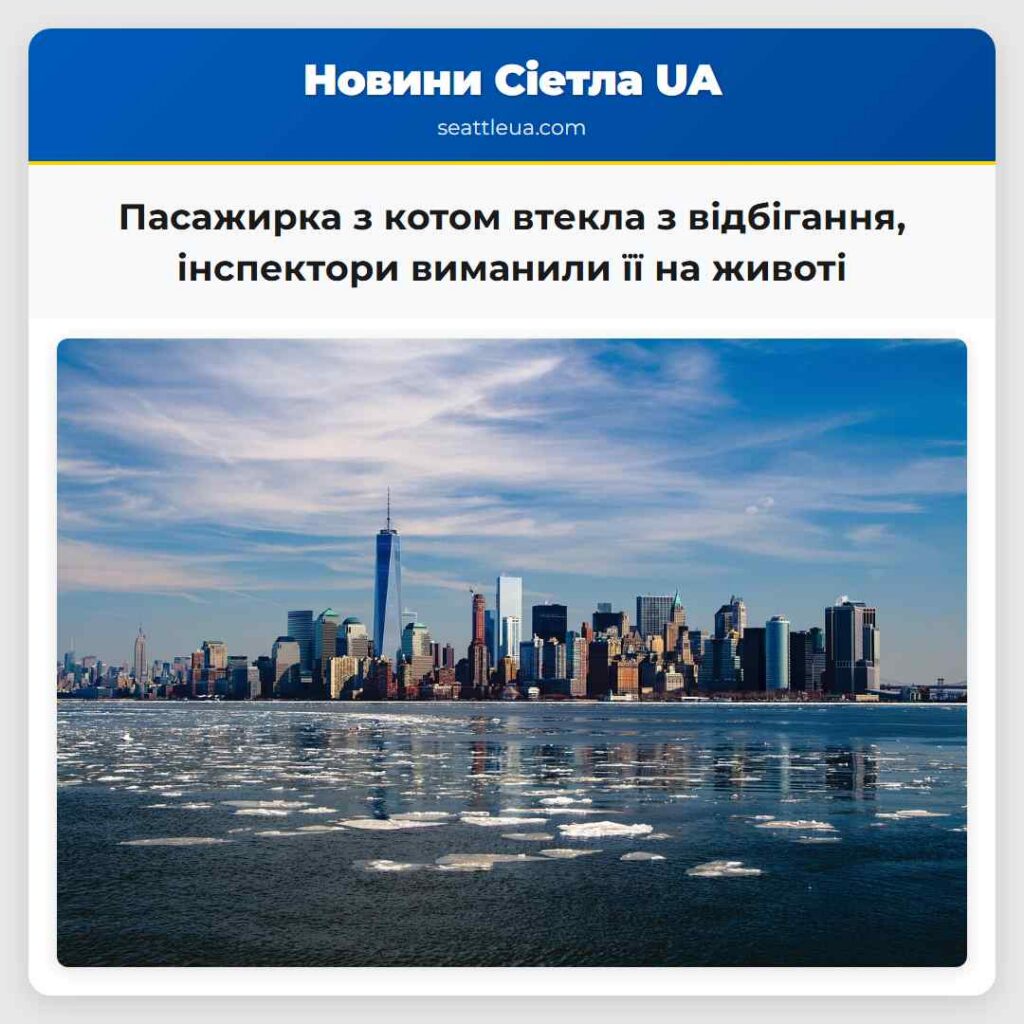Пасажирка з котом втекла з відбігання, інспектори
