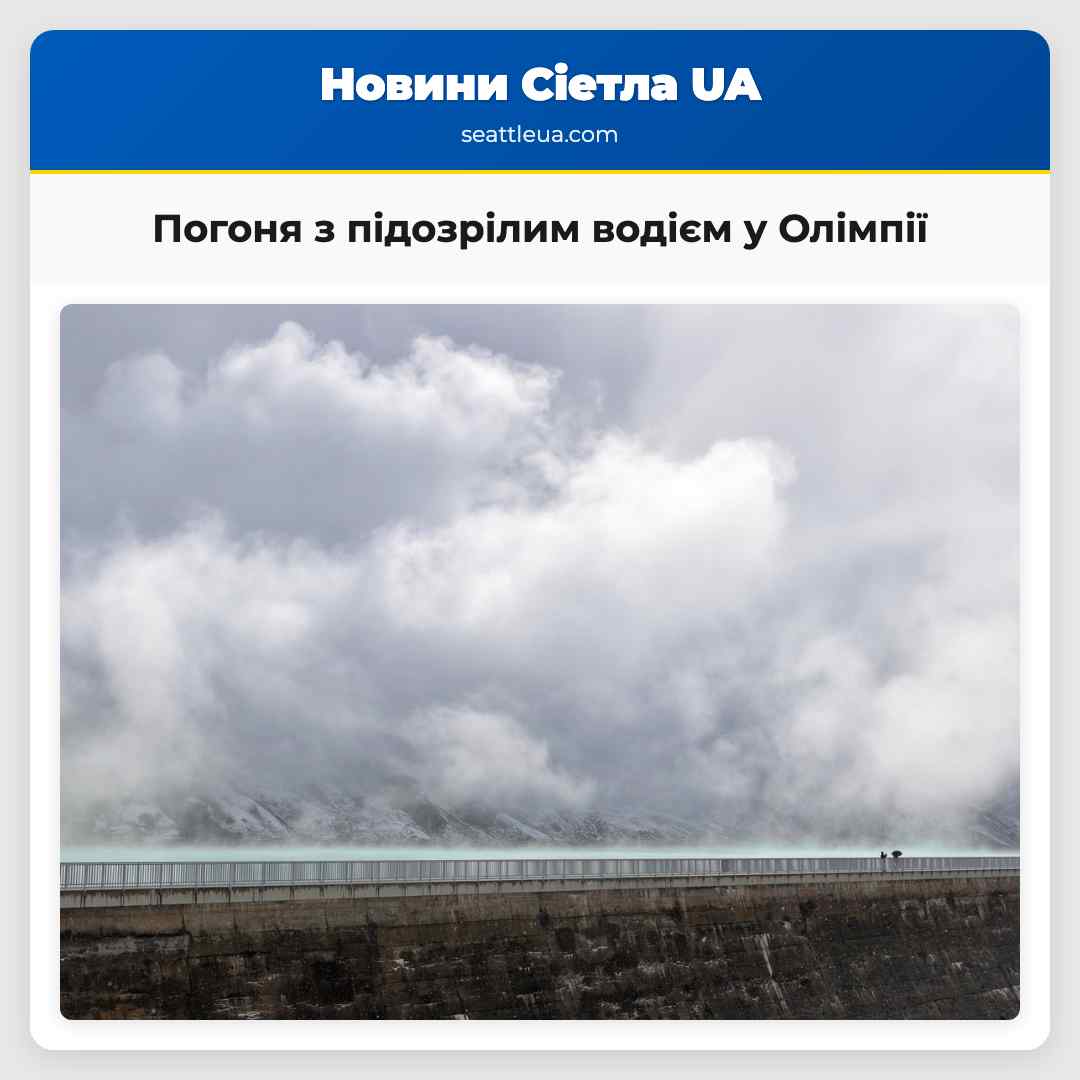 Погоня з підозрілим водієм у Олімпії