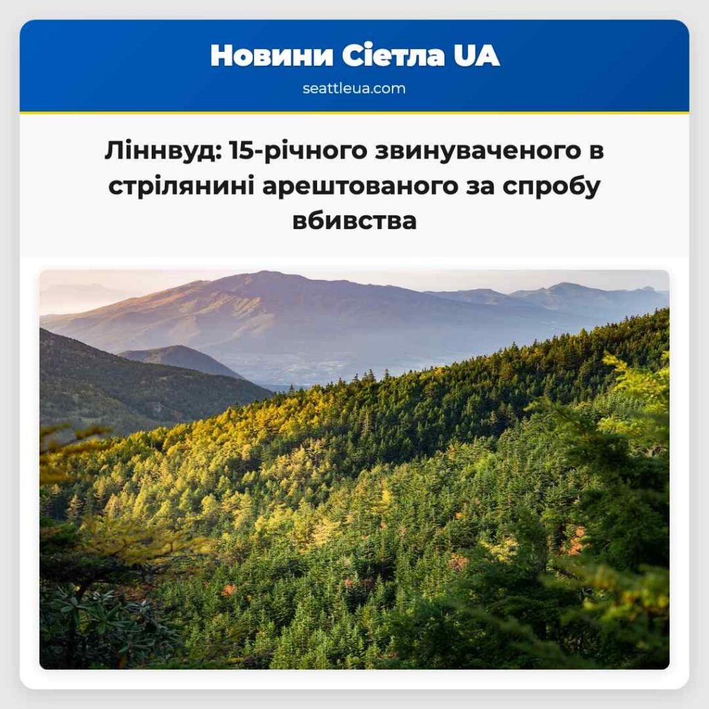 Ліннвуд: 15-річного звинуваченого в стрілянині