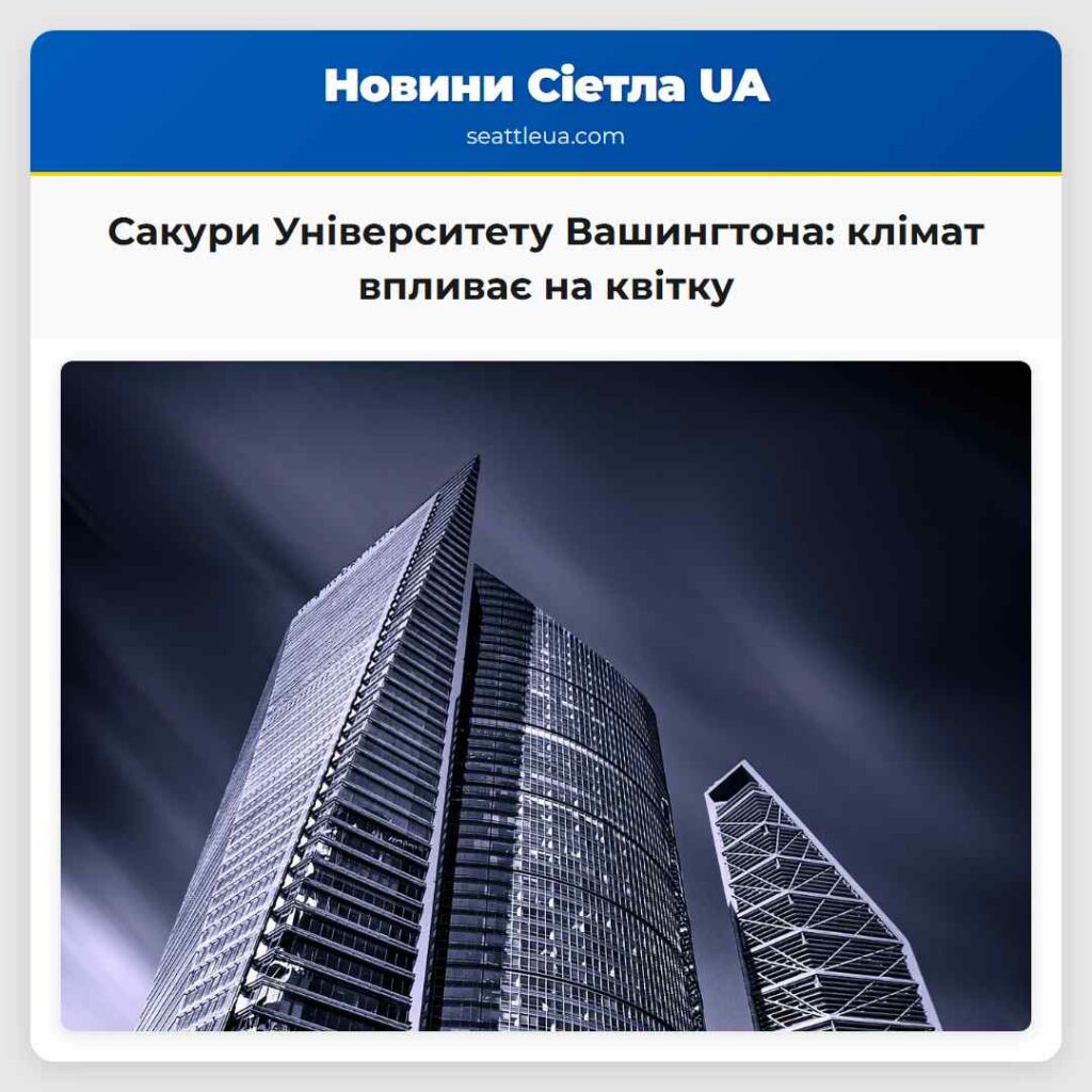 Сакури Університету Вашингтона: клімат впливає на