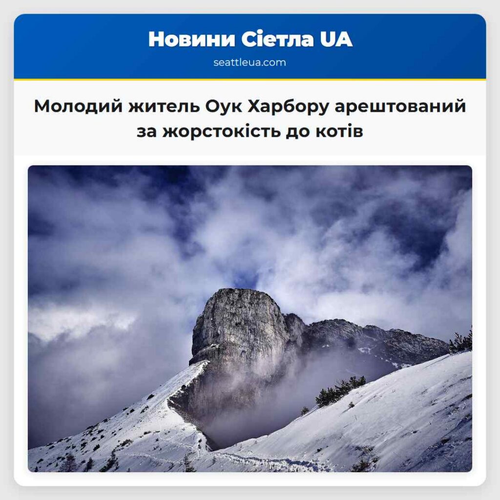 Молодий житель Оук Харбору арештований за