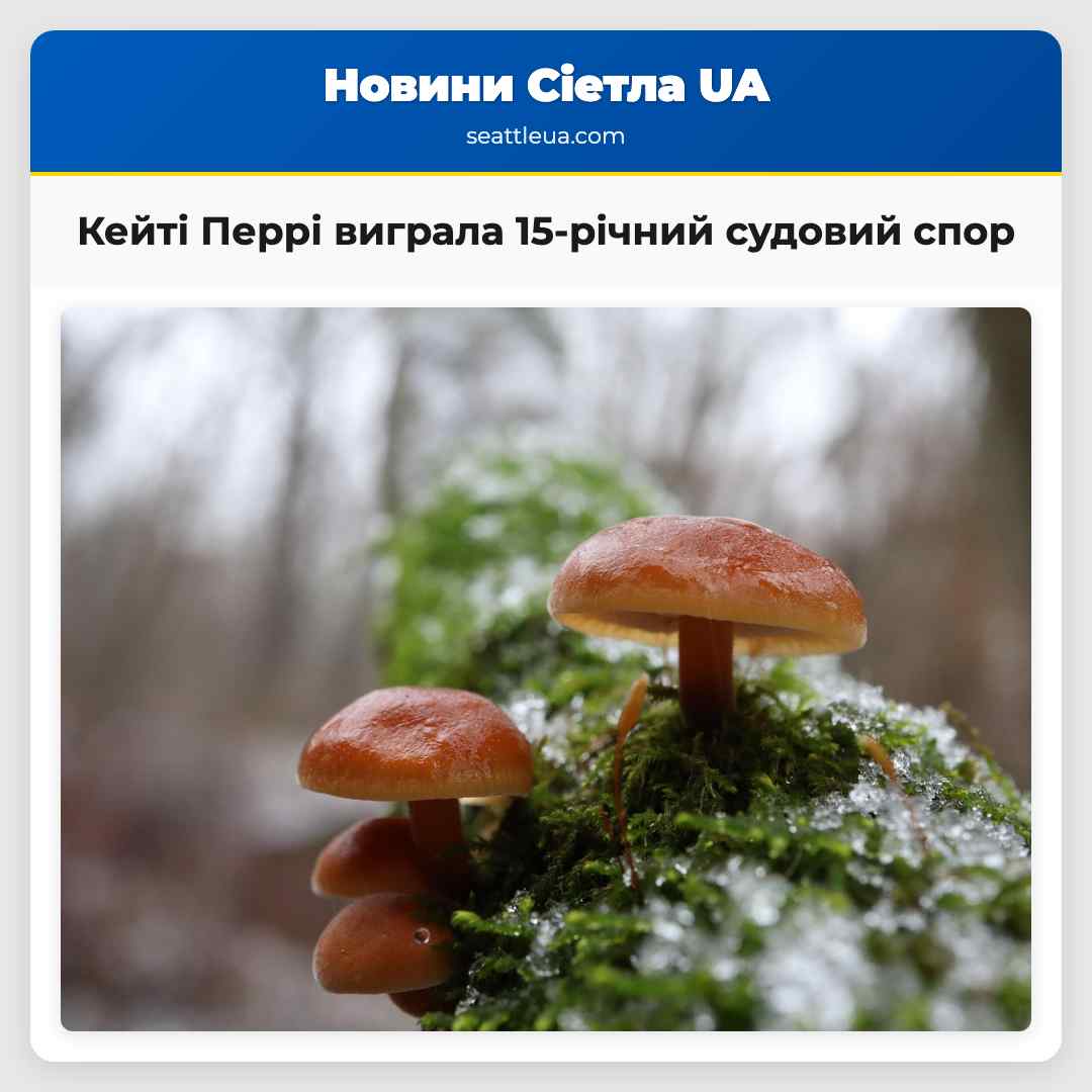 Кейті Перрі виграла 15-річний судовий спор