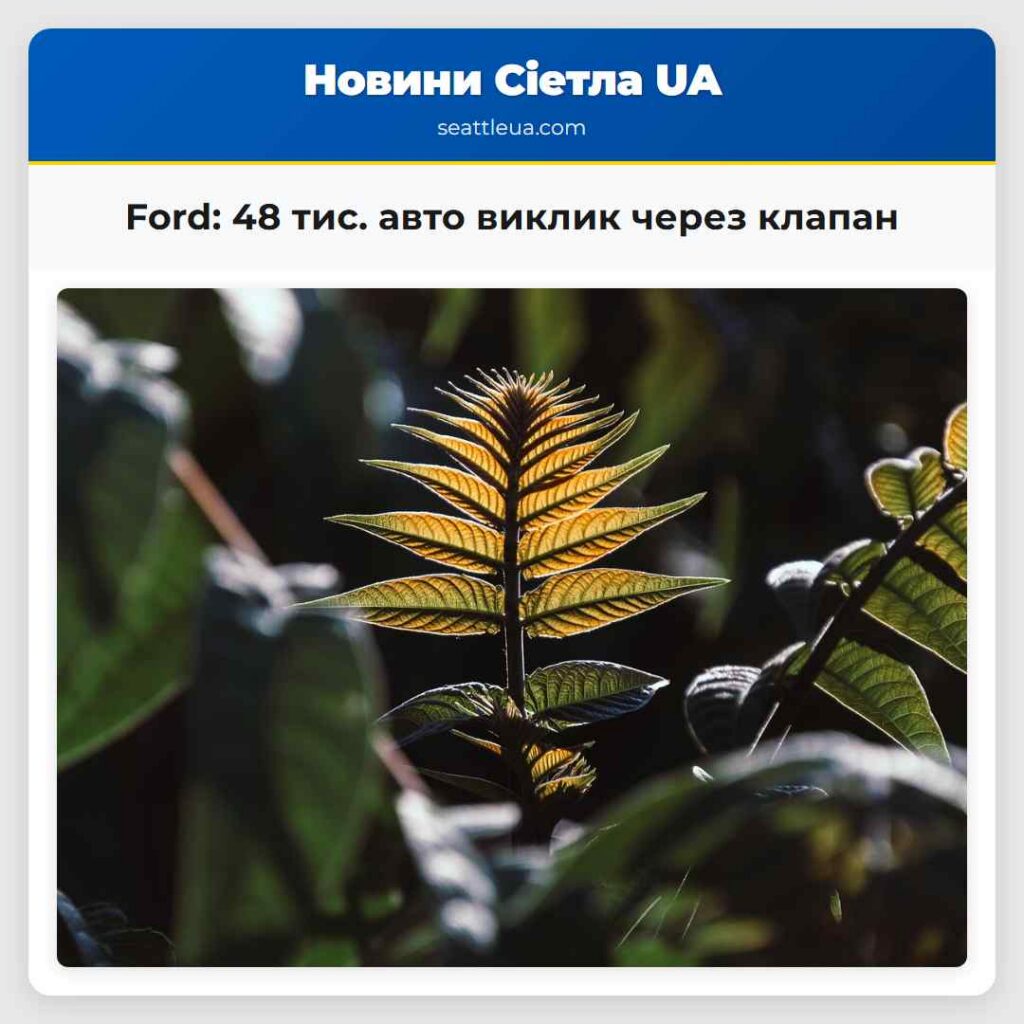 Ford: 48 тис. авто виклик через клапан