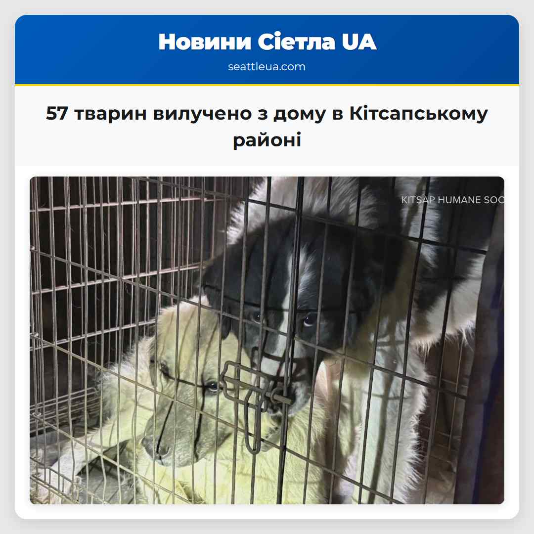 57 тварин вилучено з дому в Кітсапському районі