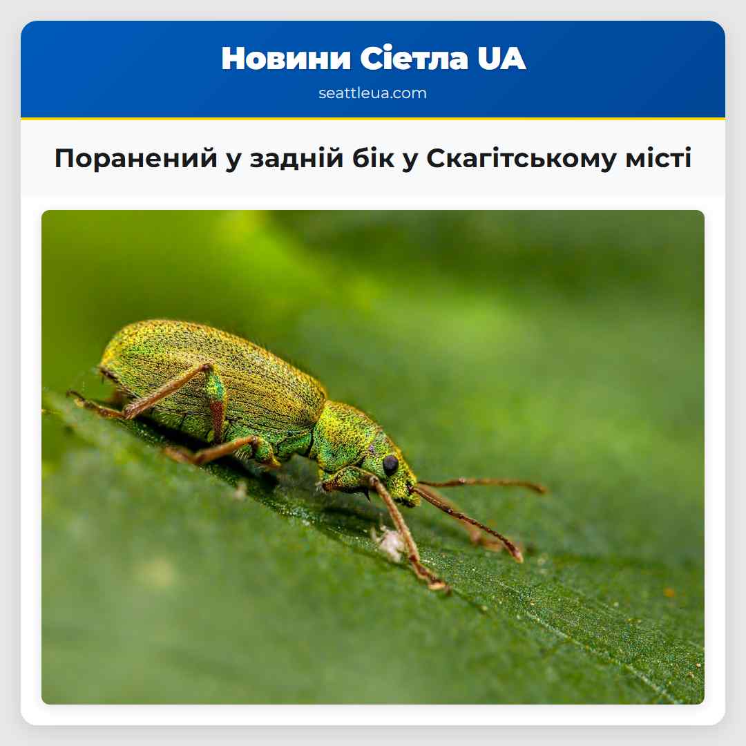 Чоловік у Скагітському місті отримав поранення в задній бік від знайомого
