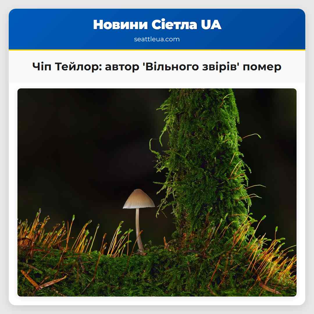 Чіп Тейлор автор Вільного звірів і Ангела ранку пішов у вечір