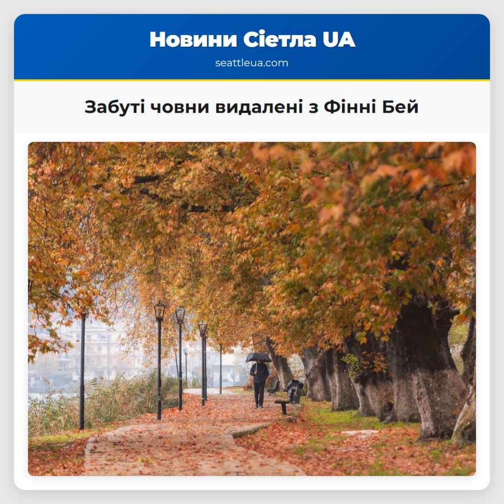 Забуті човни видалені з Фінні Бей