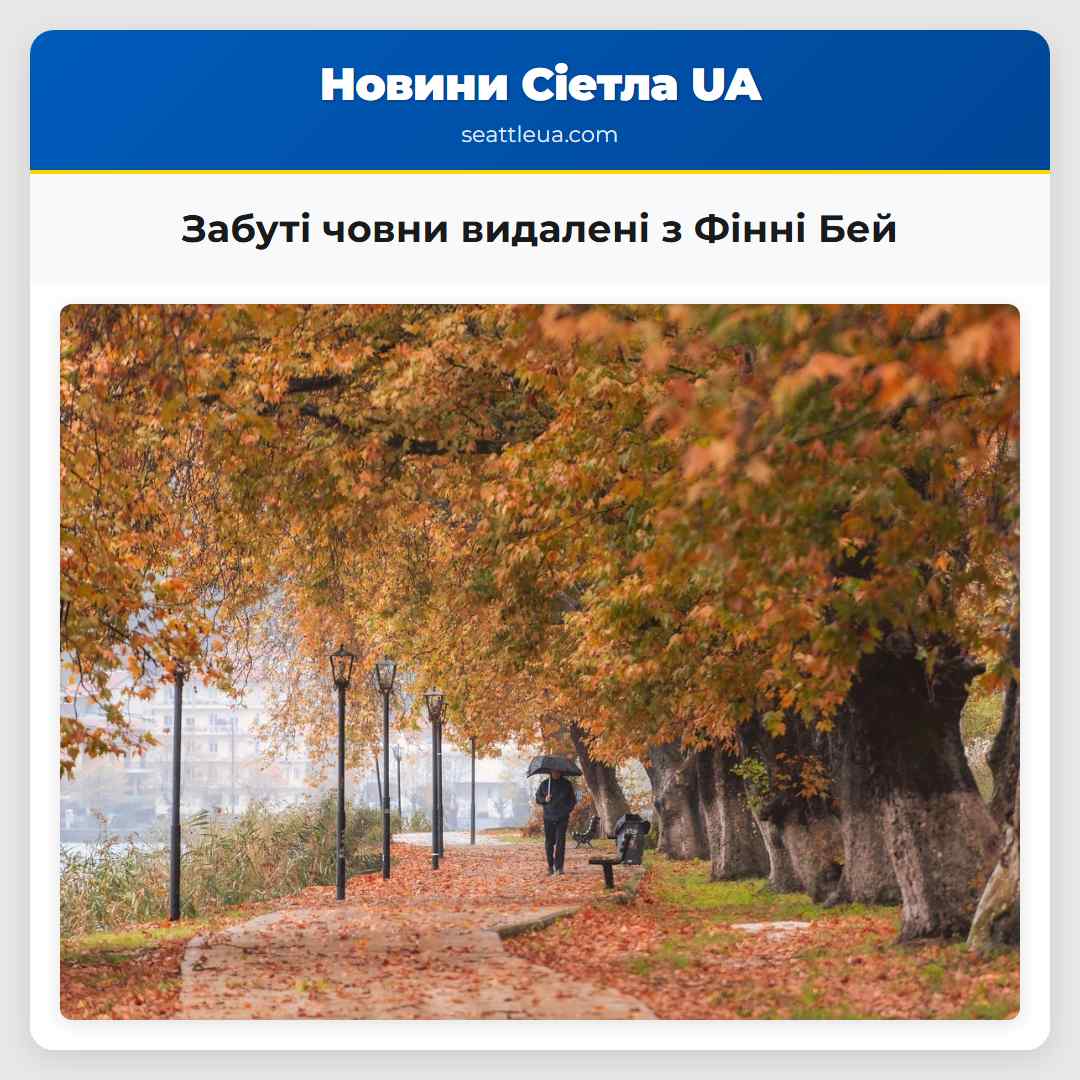 Забуті човни видалені з Фінні Бей