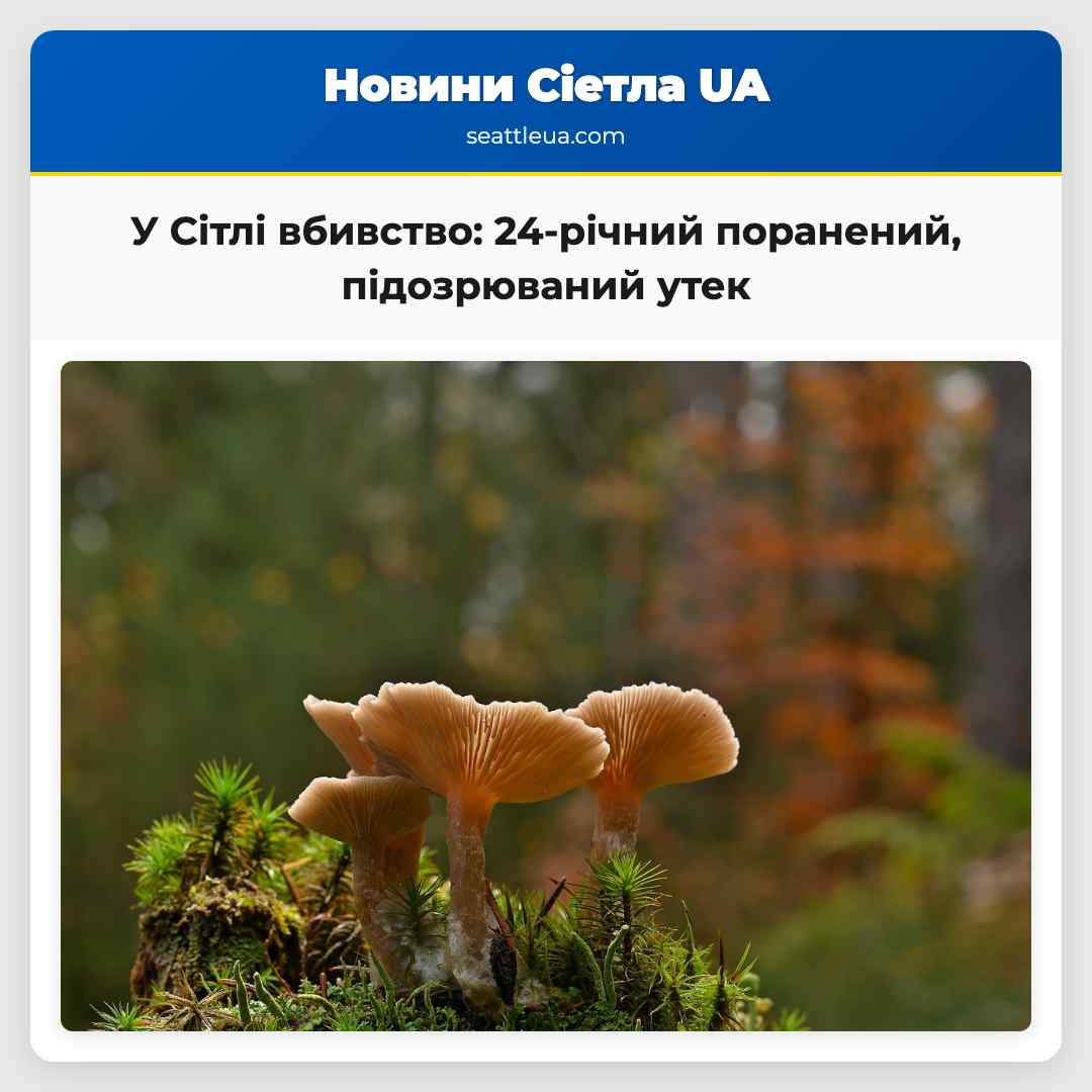 У Сітлі вбивство: 24-річний поранений,