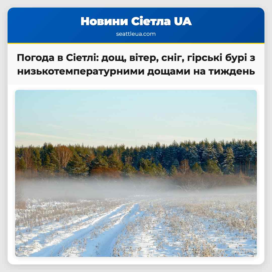 Погода в Сіетлі: дощ, вітер, сніг, гірські бурі з