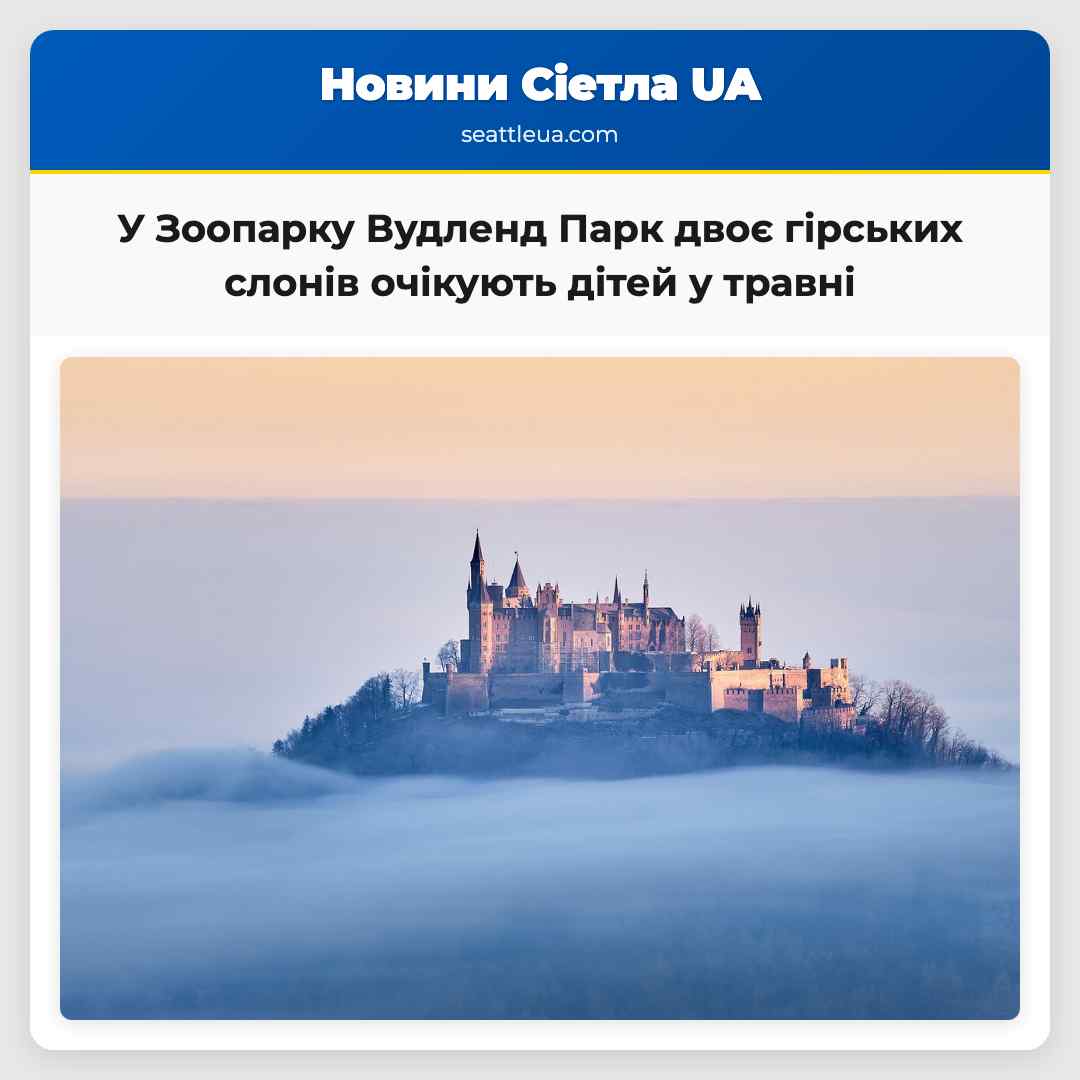 У Зоопарку Вудленд Парк двоє гірських слонів