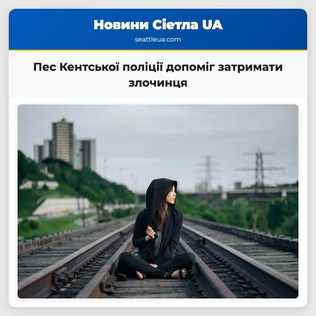 Пес Кентської поліції допоміг затримати злочинця