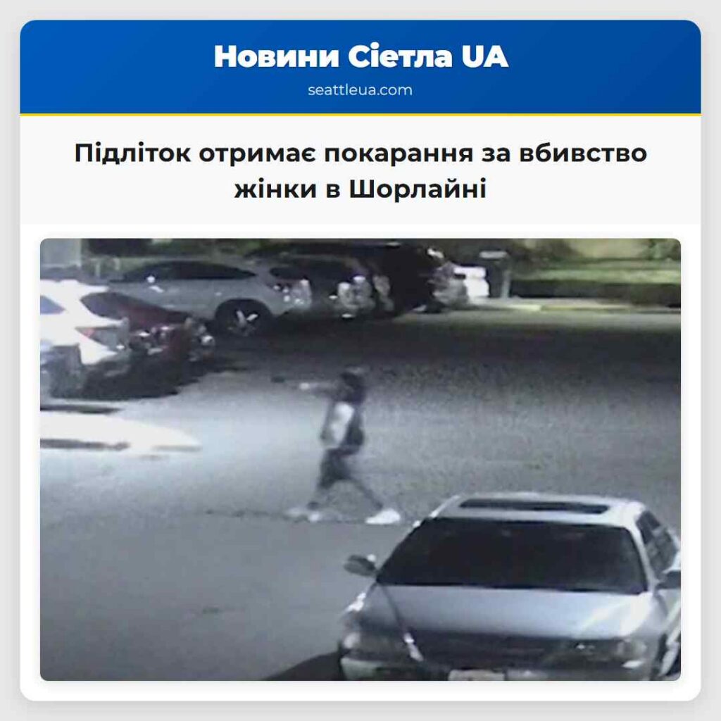 Підліток отримає покарання за вбивство жінки в