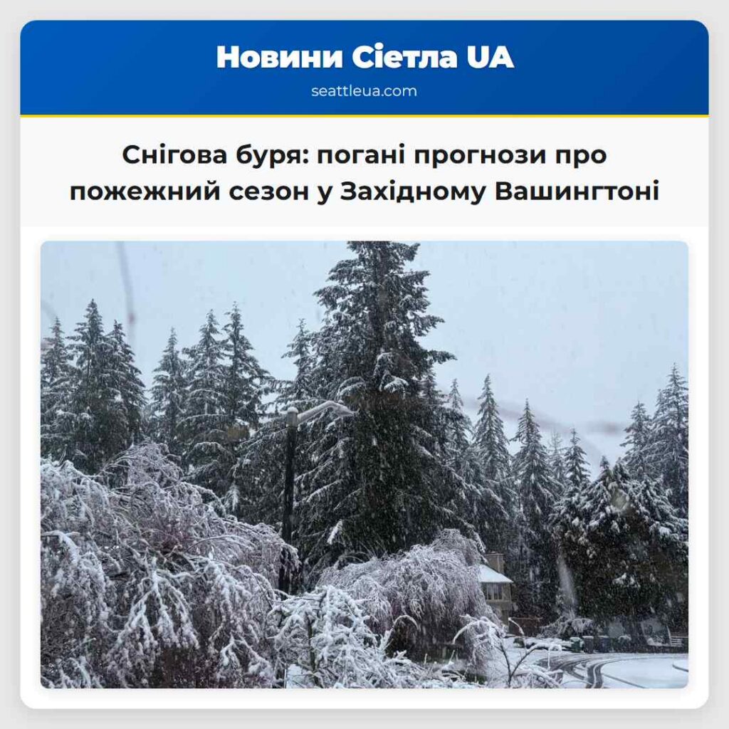 Снігова буря: погані прогнози про пожежний сезон