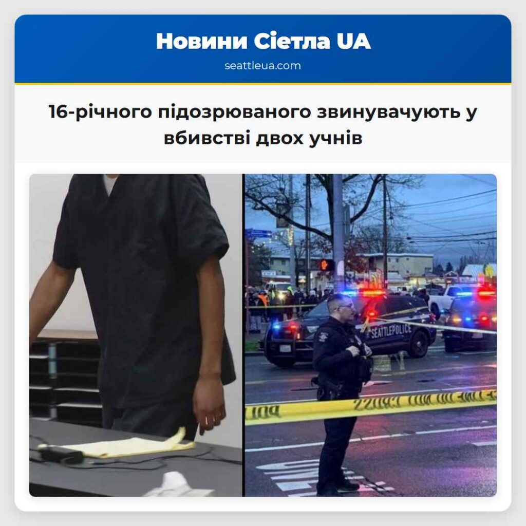 16-річного підозрюваного звинувачують у вбивстві