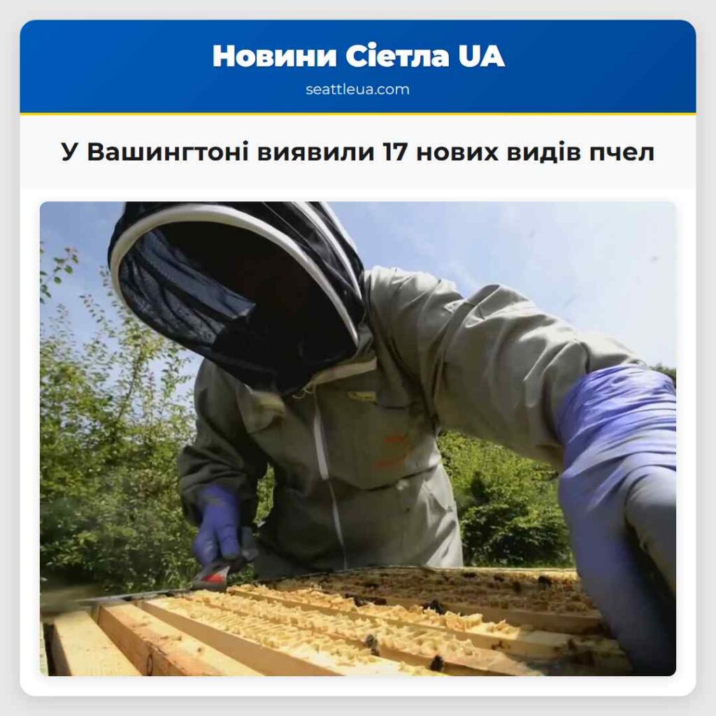 У Вашингтоні виявили 17 нових видів пчел