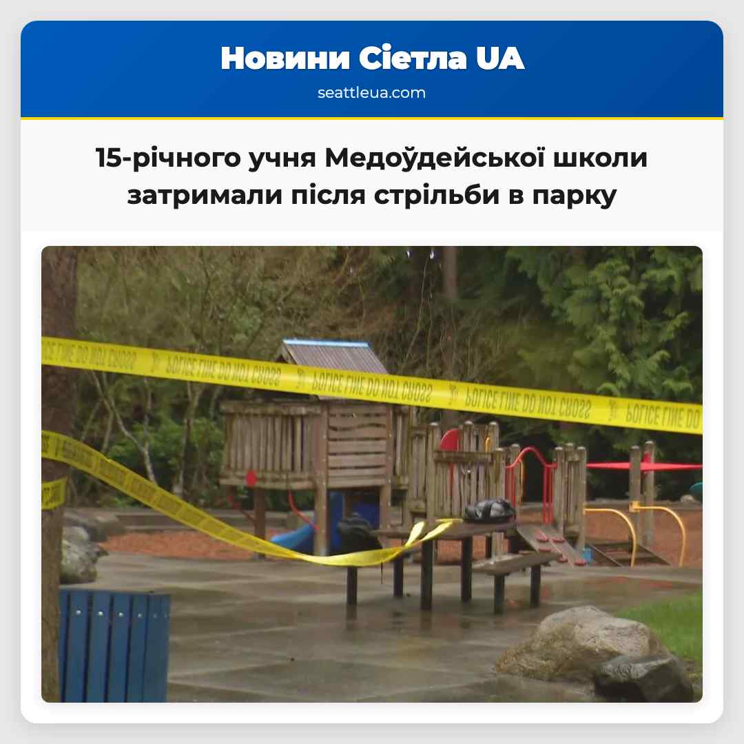 15-річного учня Медоўдейської школи затримали