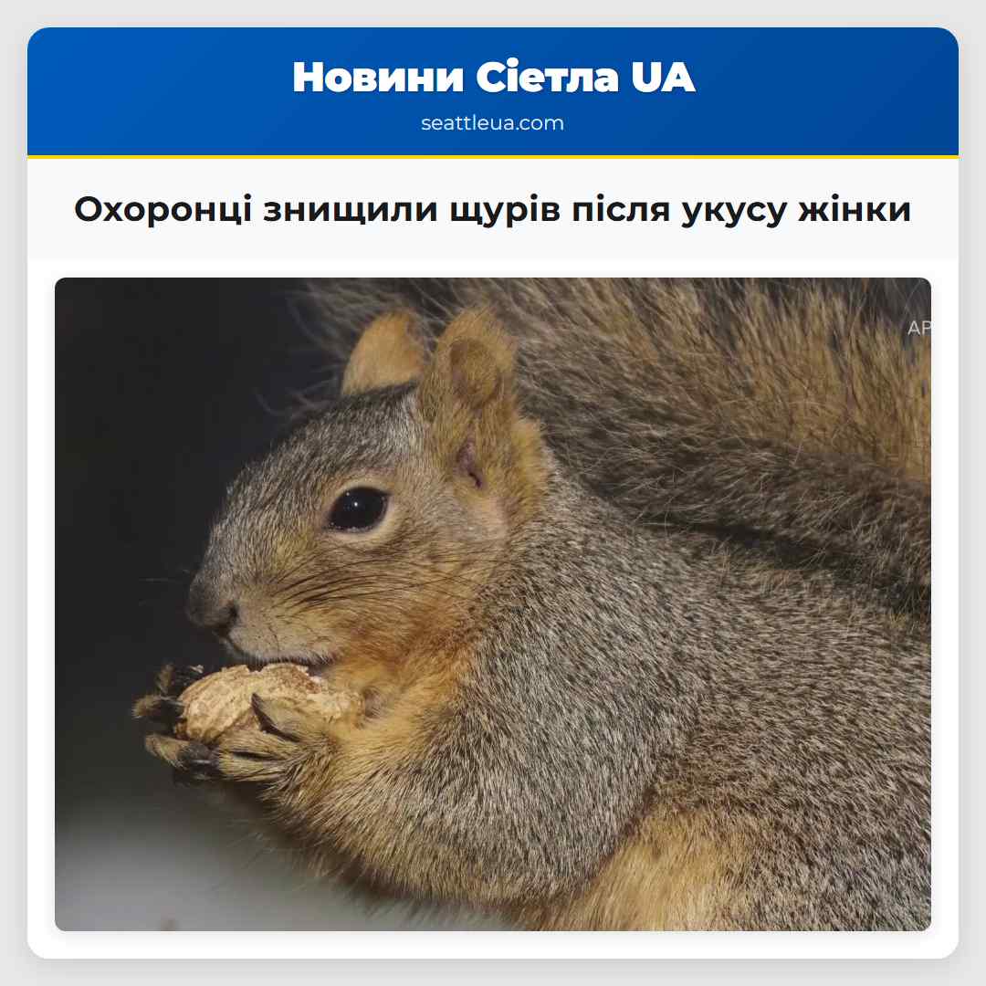 Охоронці природи знищили пять сірих щурів у Такомі після укусу жінки