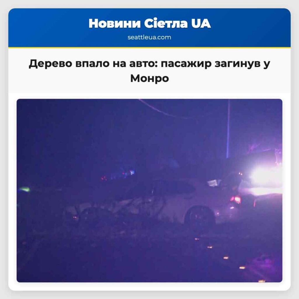 Дерево впало на авто: пасажир загинув у Монро