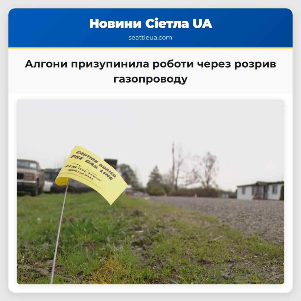 Алгони призупинила роботи через розрив газопроводу
