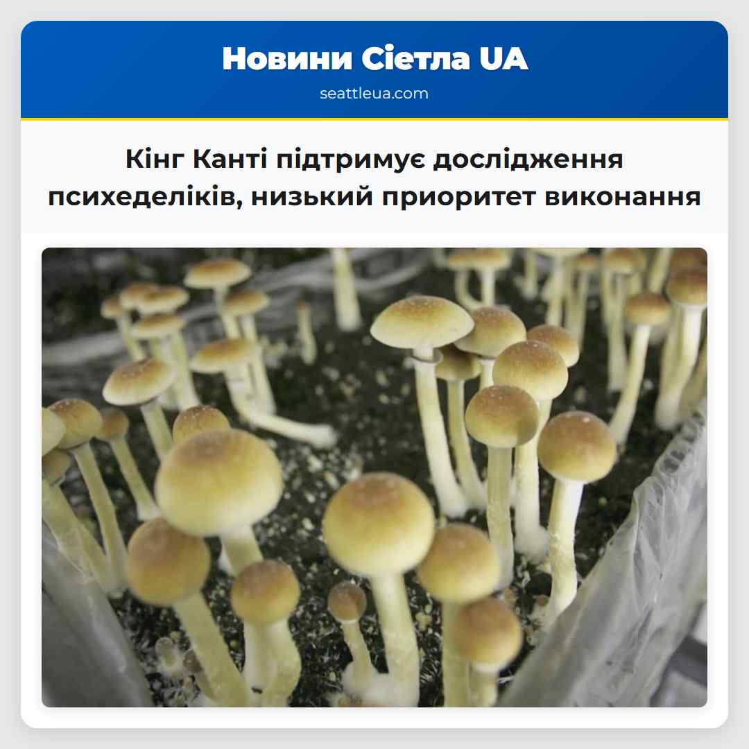 Кінг Канті підтримує дослідження низький приоритет виконання психеделіків регіон переглядає підхід