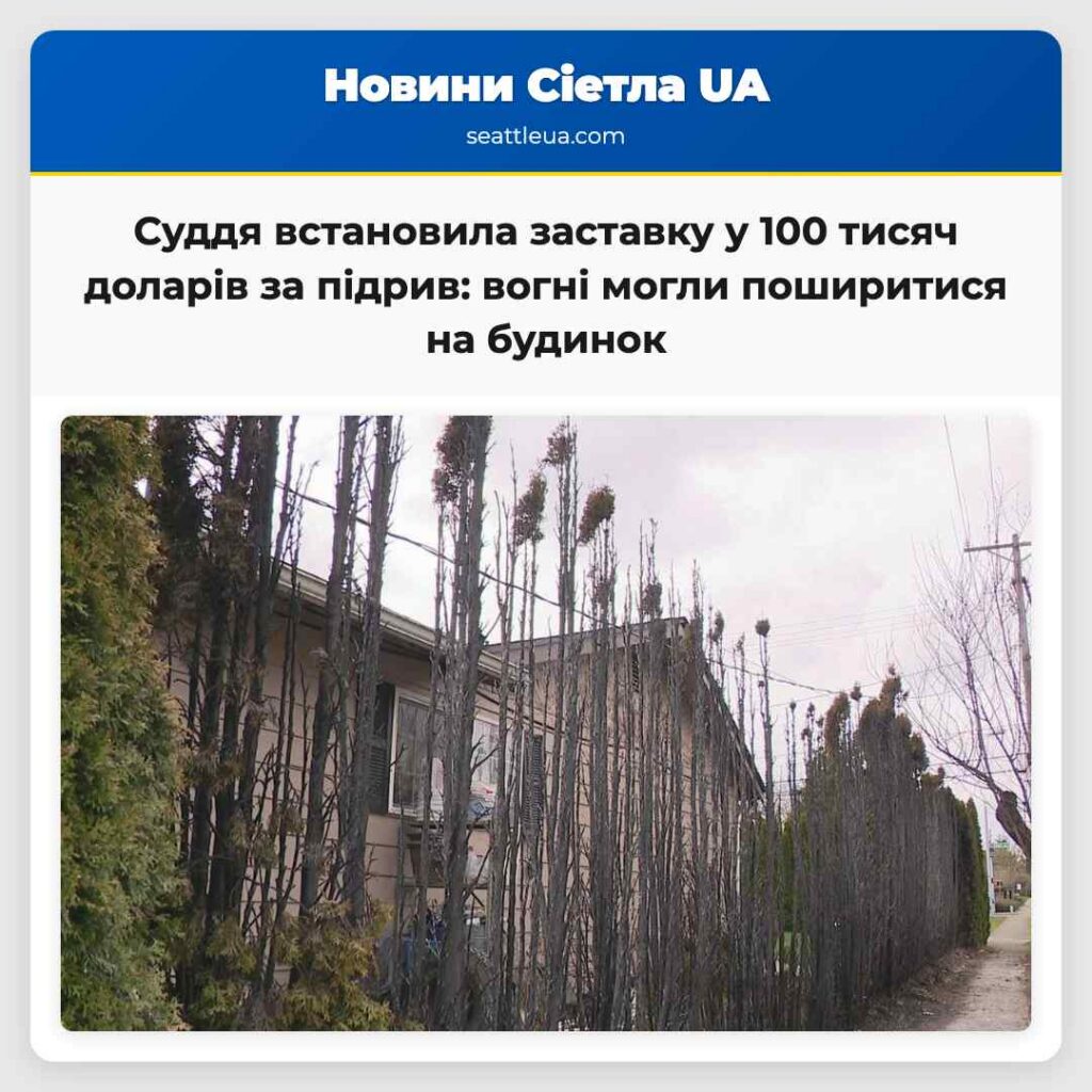 Суддя встановила заставку у 100 тисяч доларів за