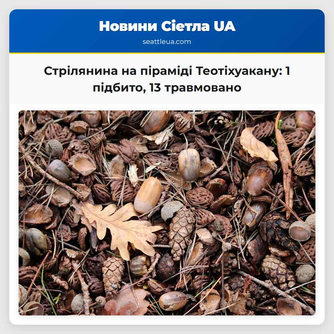 Стрілянина на піраміді Теотіхуакану: 1 підбито,