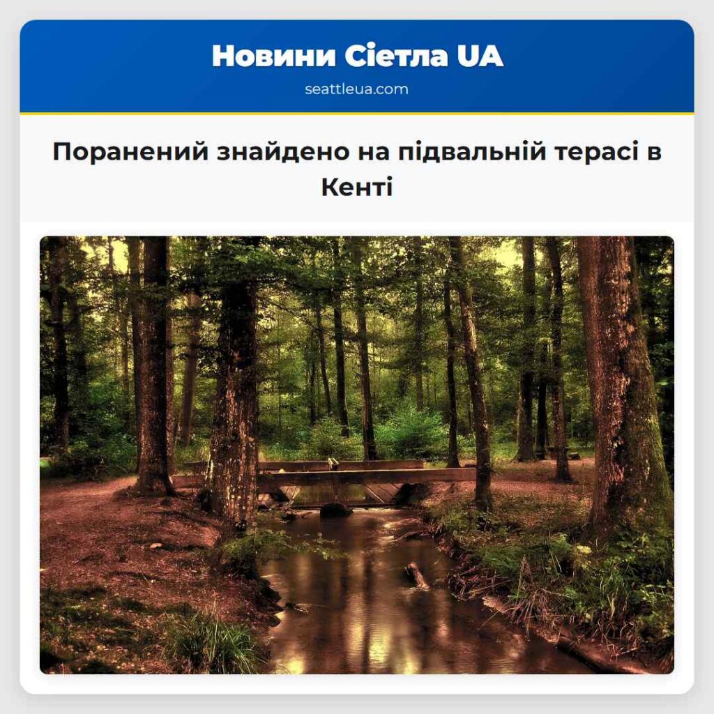Поранений знайдено на підвальній терасі в Кенті