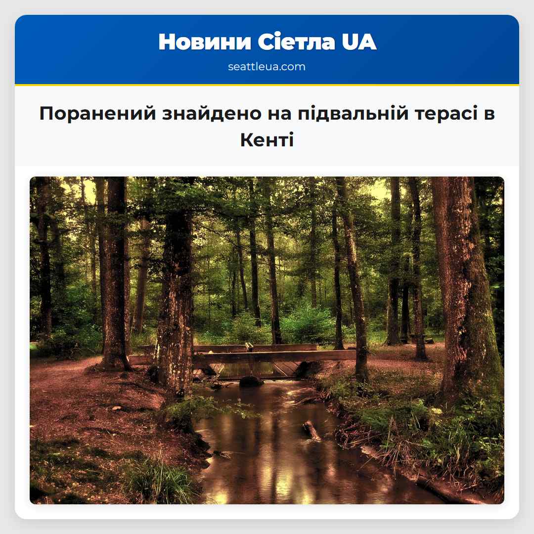 Поранений знайдено на підвальній терасі в Кенті