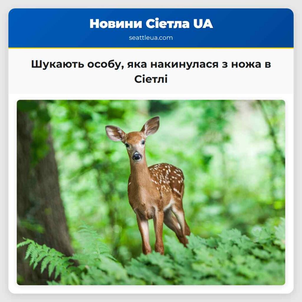Шукають особу, яка накинулася з ножа в Сіетлі