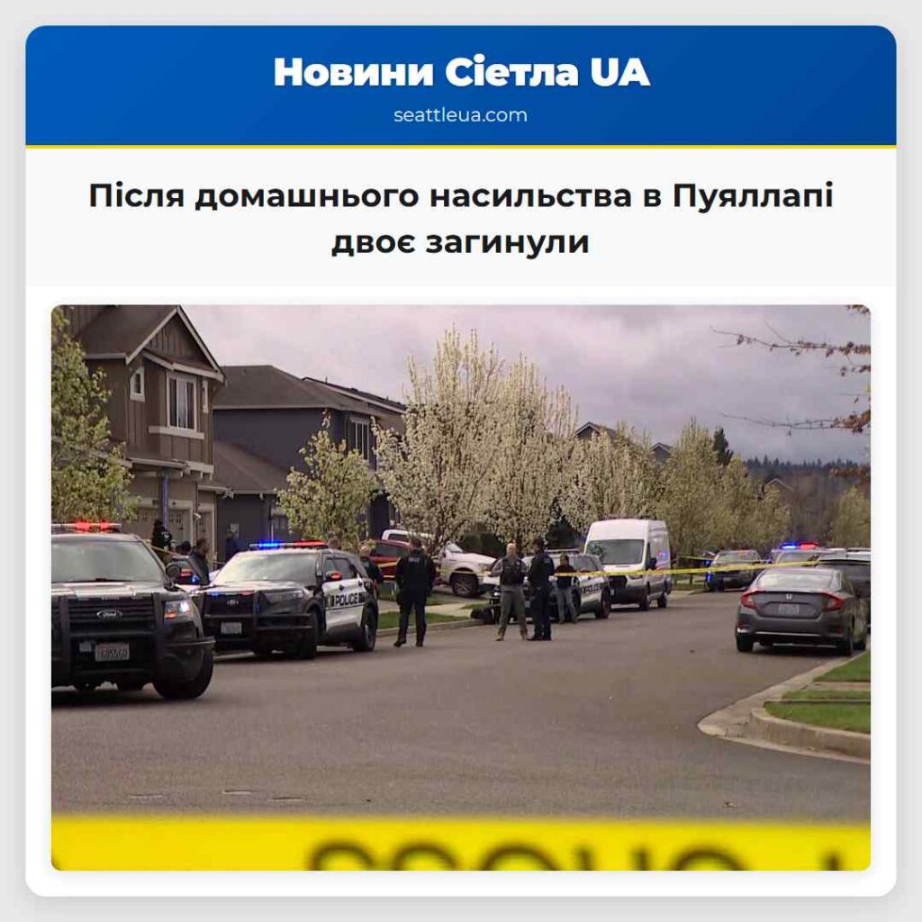 Після домашнього насильства в Пуяллапі двоє