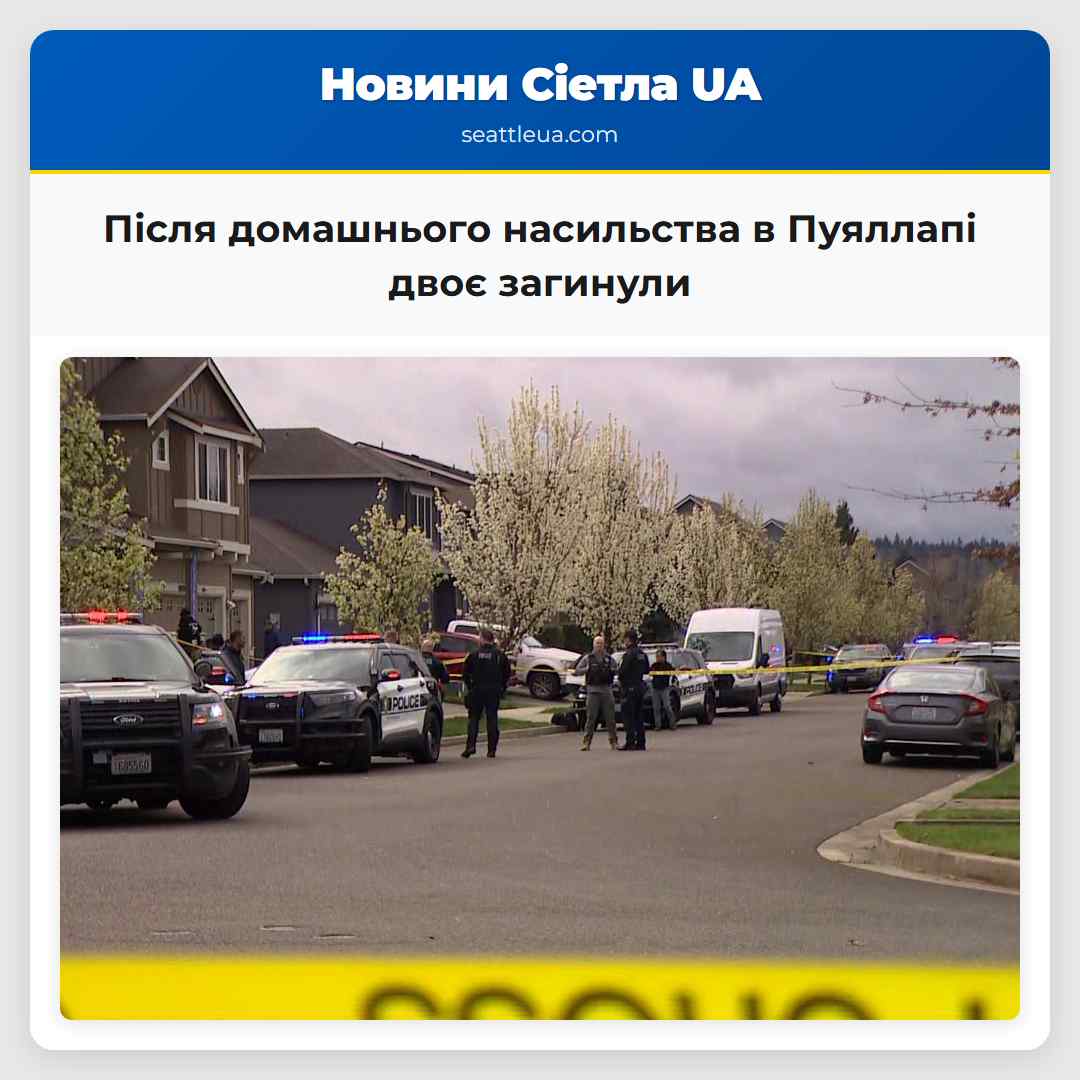 Після домашнього насильства в Пуяллапі двоє