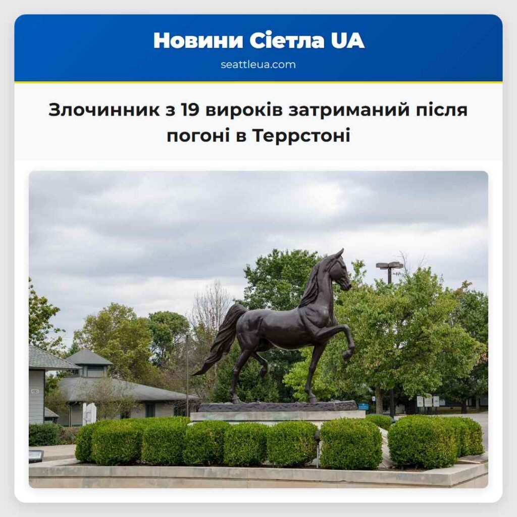Злочинник з 19 вироків затриманий після погоні в