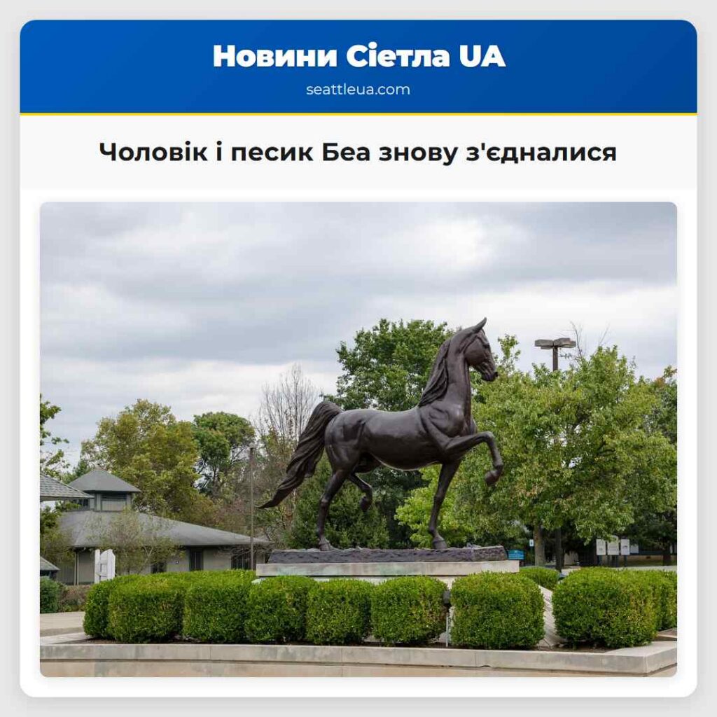 Чоловік і песик Беа знову з'єдналися