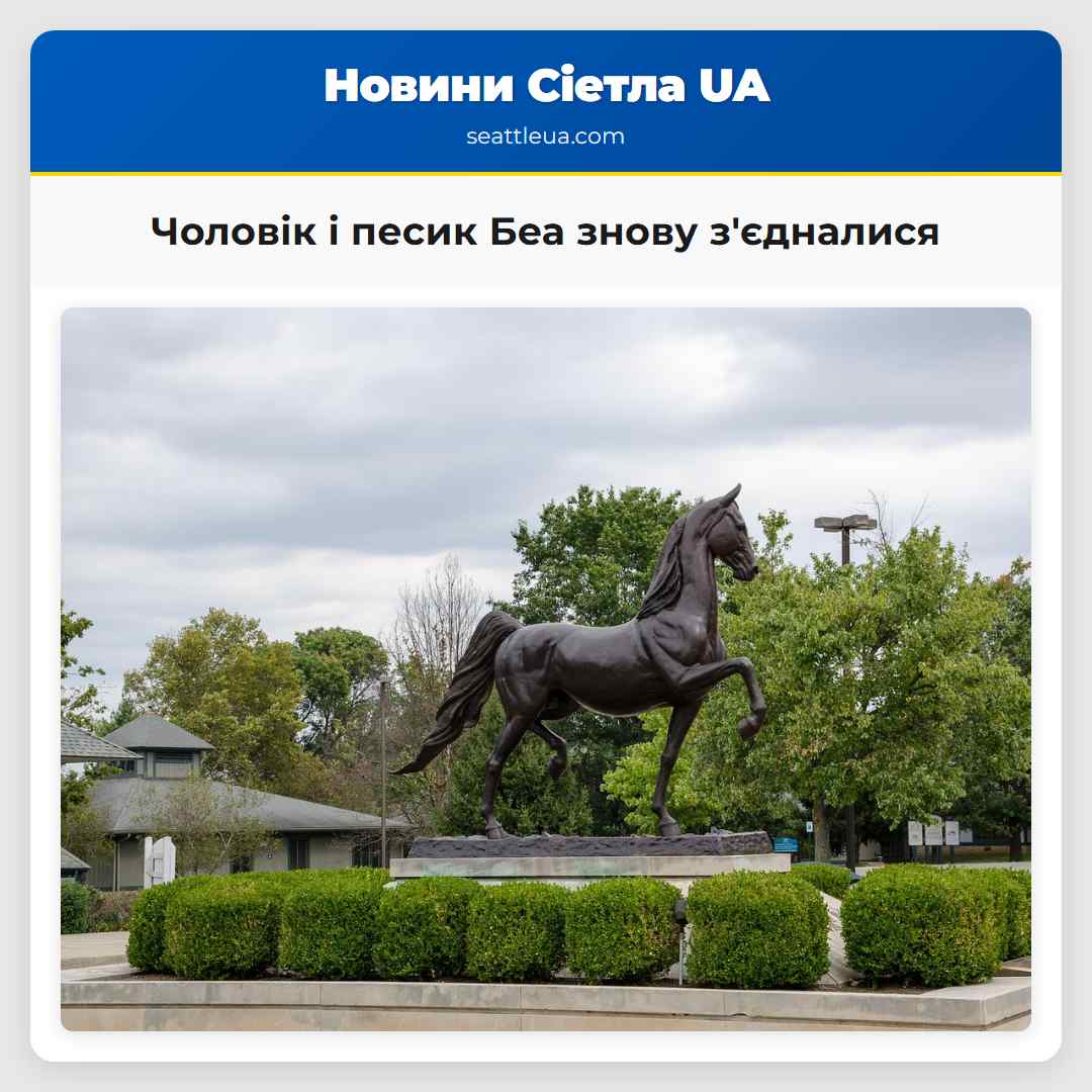 Чоловік і песик Беа знову з'єдналися