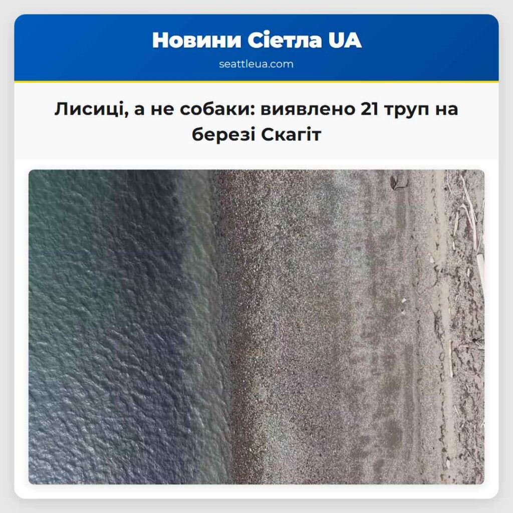 Лисиці, а не собаки: виявлено 21 труп на березі
