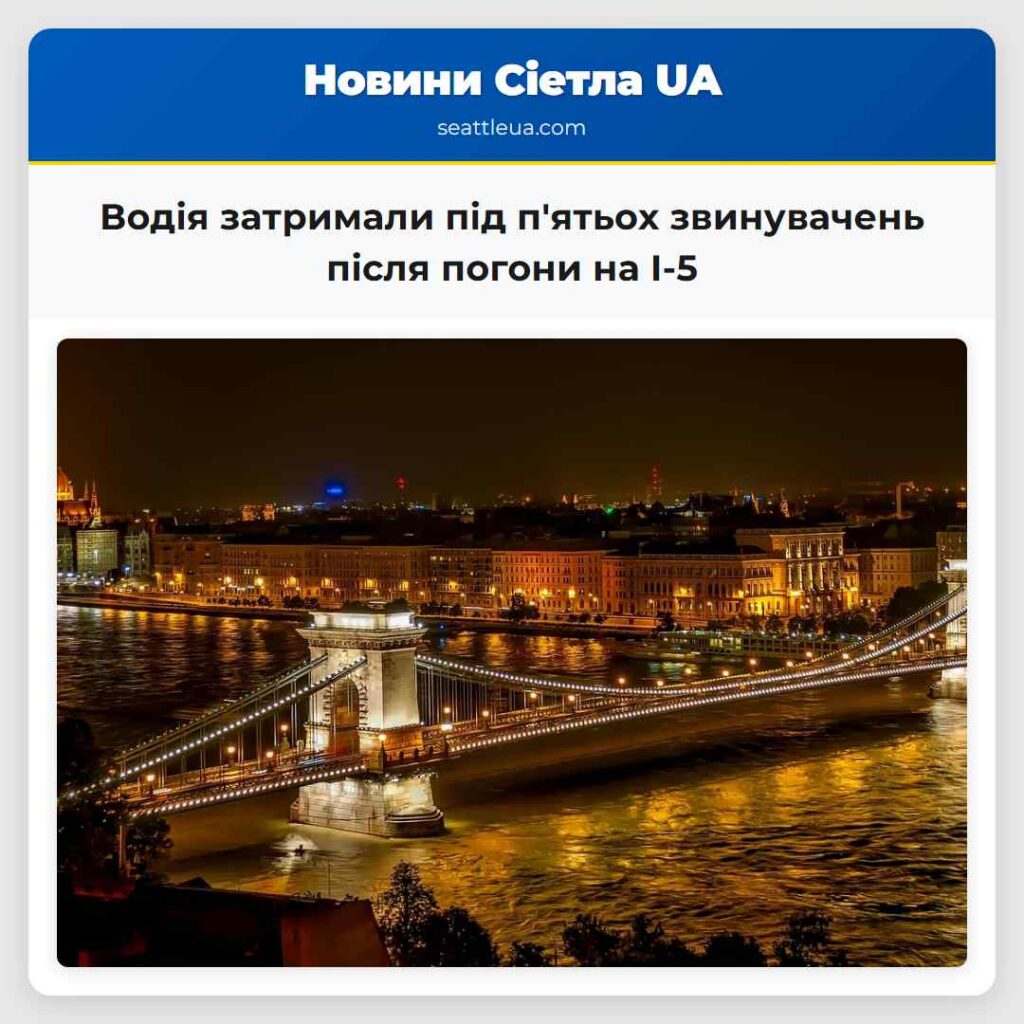 Водія затримали під п'ятьох звинувачень після