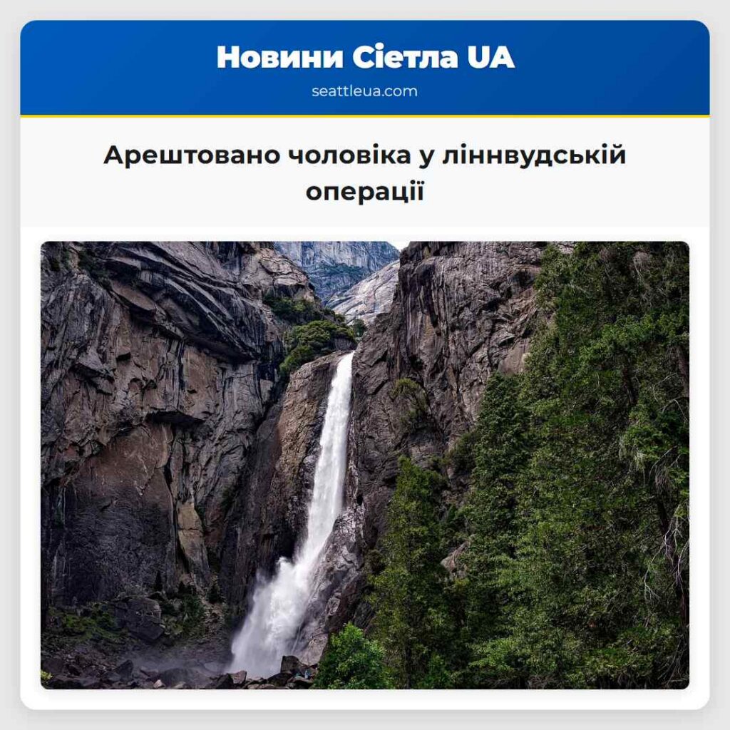 Арештовано чоловіка у ліннвудській операції