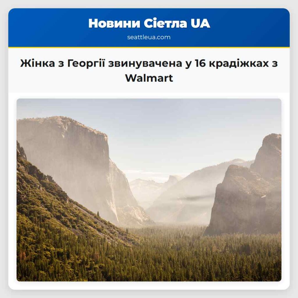 Жінка з Георгії звинувачена у 16 крадіжках з