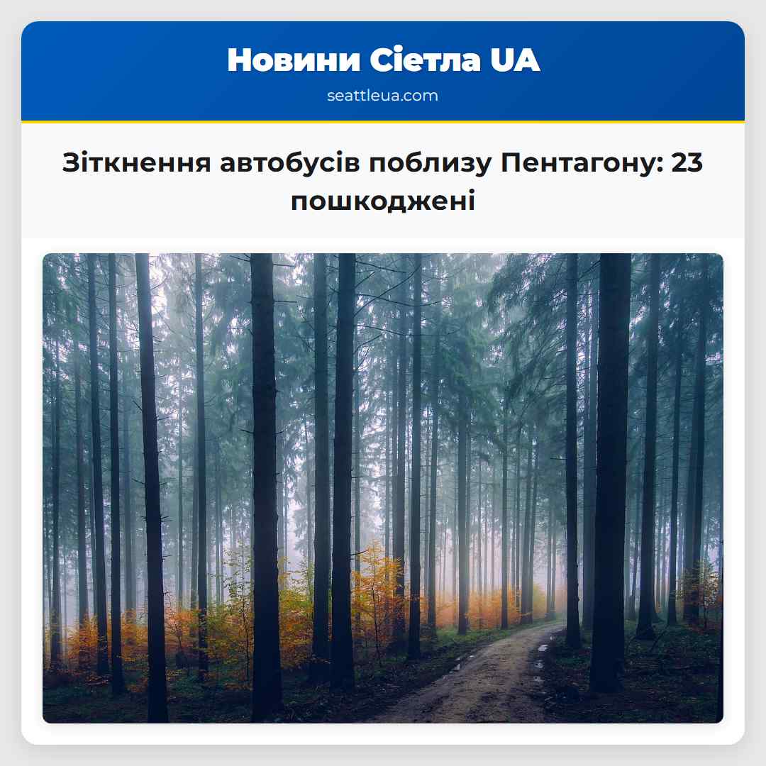 Зіткнення автобусів поблизу Пентагону: 23