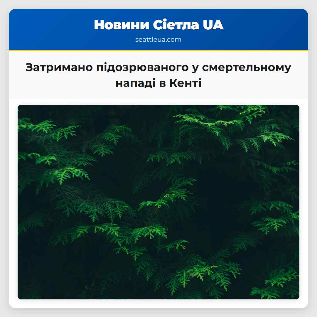 Затримано підозрюваного у смертельному нападі в