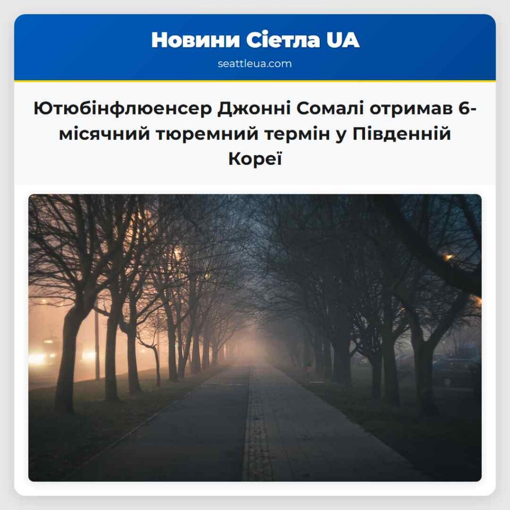 Ютюбінфлюенсер Джонні Сомалі отримав 6-місячний