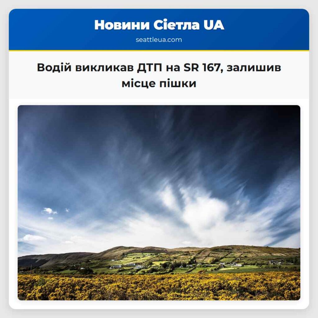 Водій викликав ДТП на SR 167, залишив місце пішки