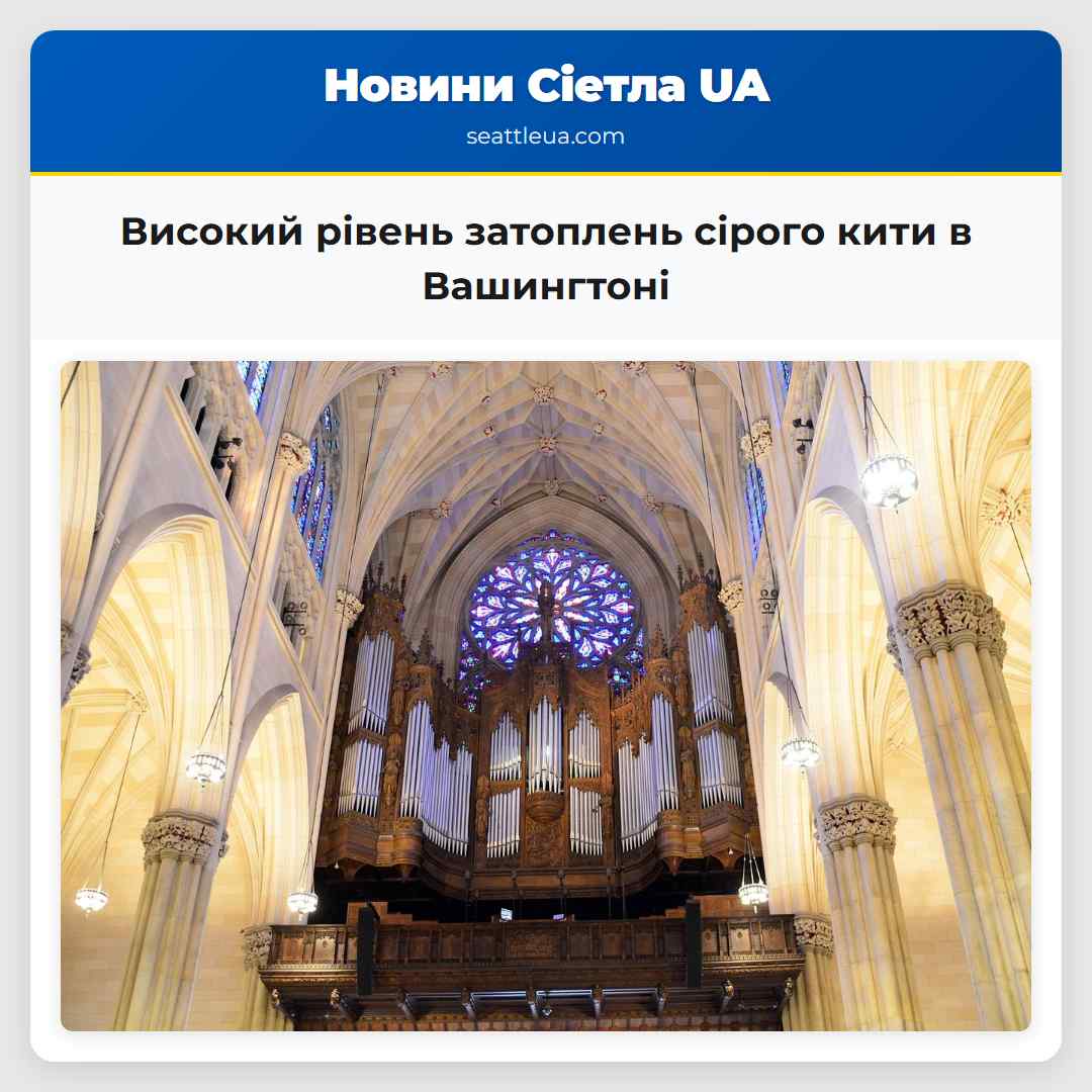 Високий рівень затоплень сірого кити в Вашингтоні