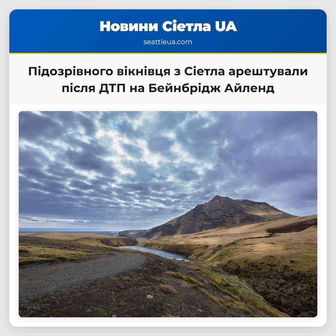 Підозрівного вікнівця з Сіетла арештували після
