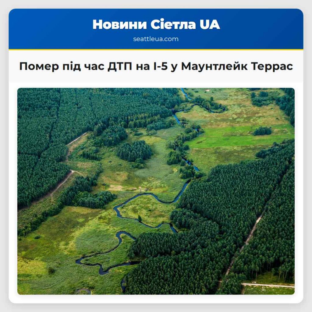 Помер під час ДТП на I-5 у Маунтлейк Террас
