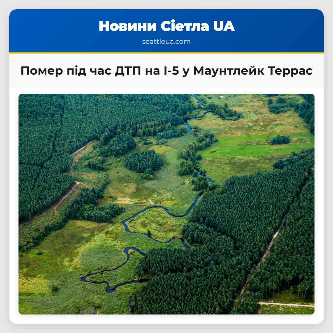 Помер під час ДТП на I-5 у Маунтлейк Террас