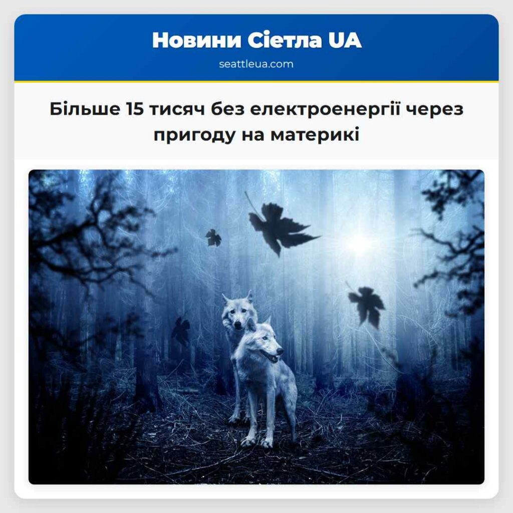 Більше 15 тисяч без електроенергії через пригоду